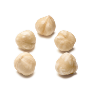 Hazel Nut